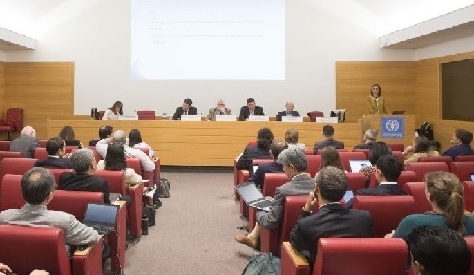 El Registro mundial visto como parte de la solución para cerrar la brecha de información en torno al transbordo y la pesca INDNR