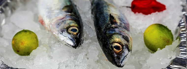 Ministerio de la Producción establece cuotas de pesca para los recursos jurel y caballa correspondientes al 2018