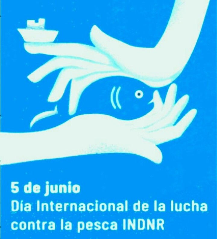 "DÍA INTERNACIONAL DE LA LUCHA CONTRA LA PESCA ILEGAL, NO DECLARADA Y NO REGLAMENTADA 2024"