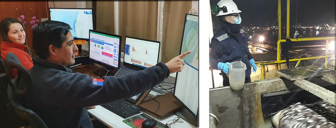 Finaliza Intercambio de Experiencias entre Chile y Perú sobre el Control a la Pesca Ilegal