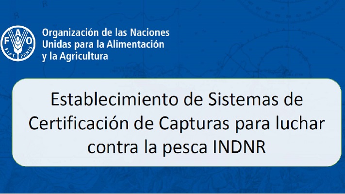 FAO_png.png
