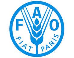 FAO_png.png